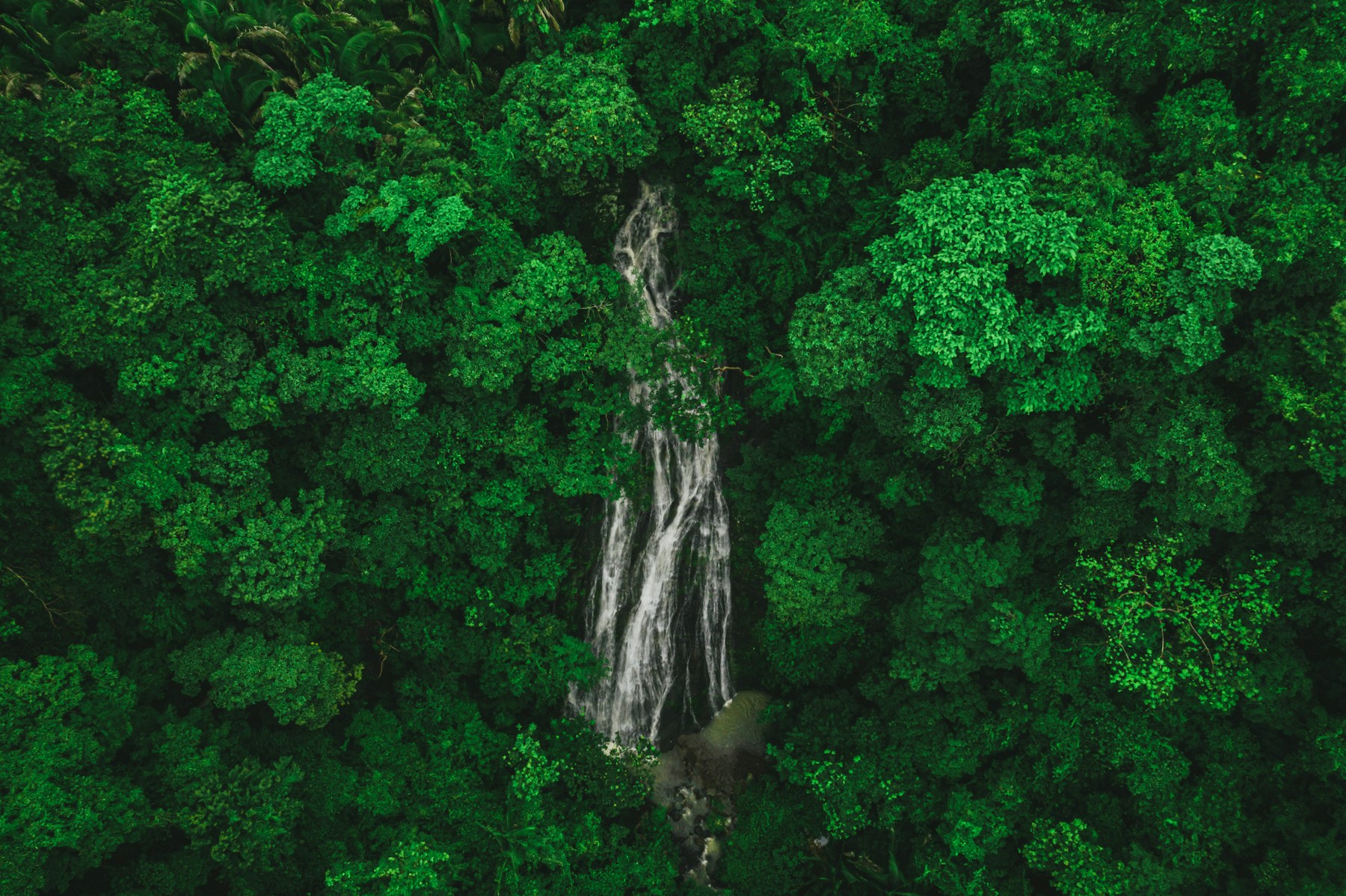 Puerto Vallarta · NATURALEZA